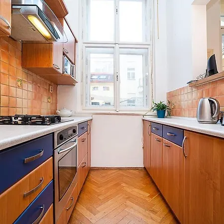 Elegant With Balcony In Parizska Street *
